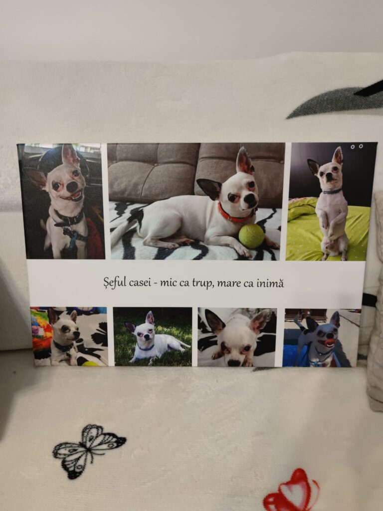 Image #1 from Marina