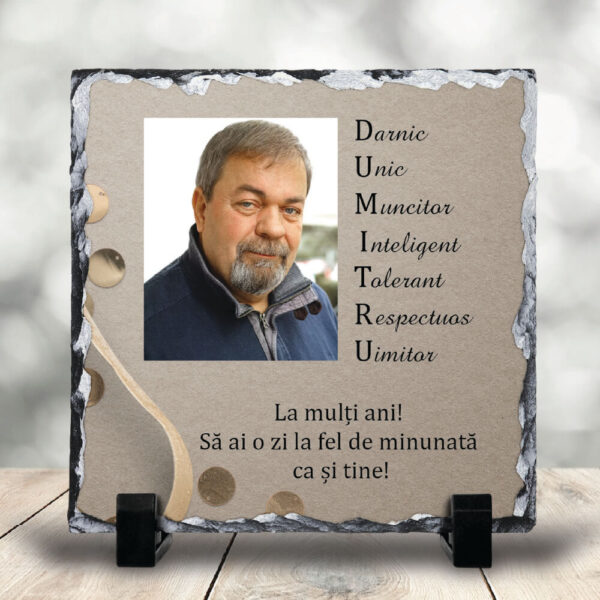 piatra-ardezie-semnificatia-numelui-dumitr-printbox-80